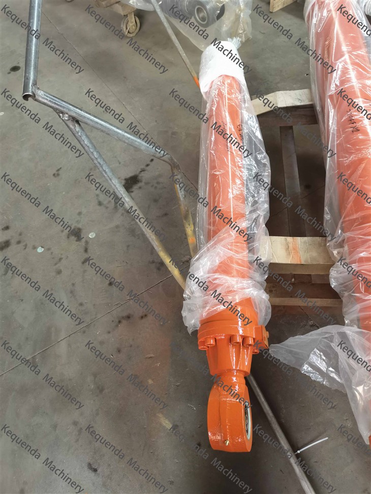 Ex 200-1 Silinder baldi